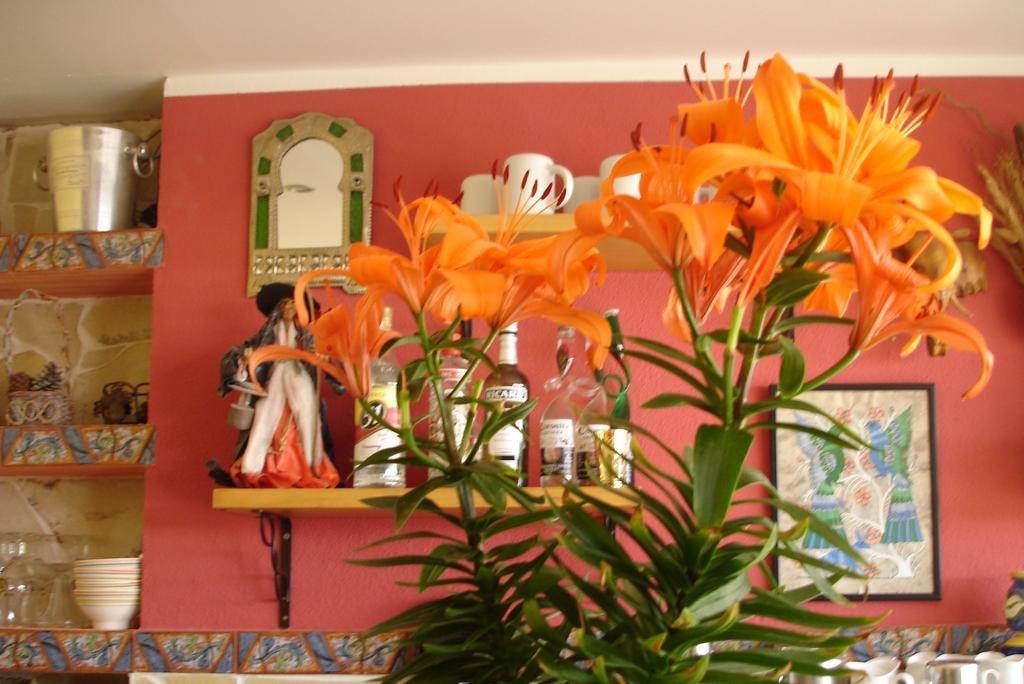 Pension El Hidalgo Calpe Exteriör bild